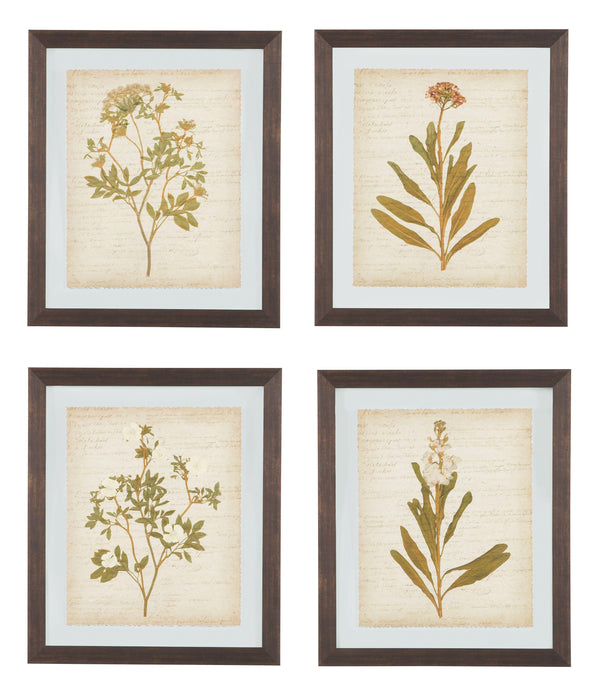 Dyani - Wall Art Set (4/cn) image
