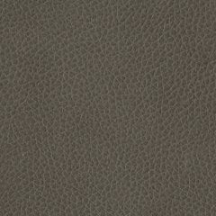 Card Player 2-Piece Upholstery Package