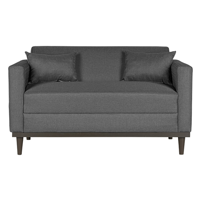 AIDEN LOVESEAT W/2 THROW PILLOWS-SILVER GRAY