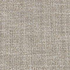 Beach Front Beige Arm Chair with Cushion (Set of 2)