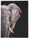 Jendayi - Wall Art image